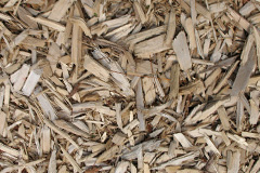 biomass boilers Hethel